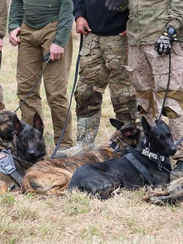 469891156_555667880601645_4314343498182155381_n