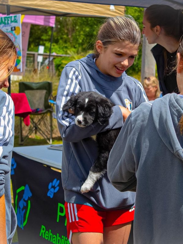 Image_20250419_225559_884